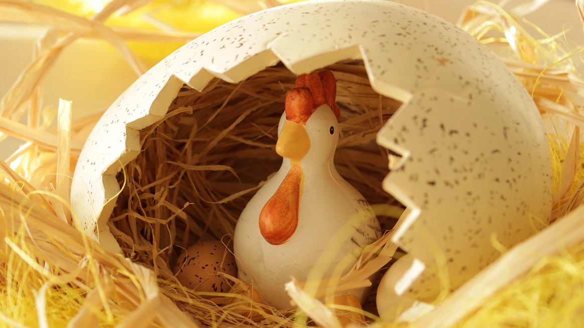 egg&chicken